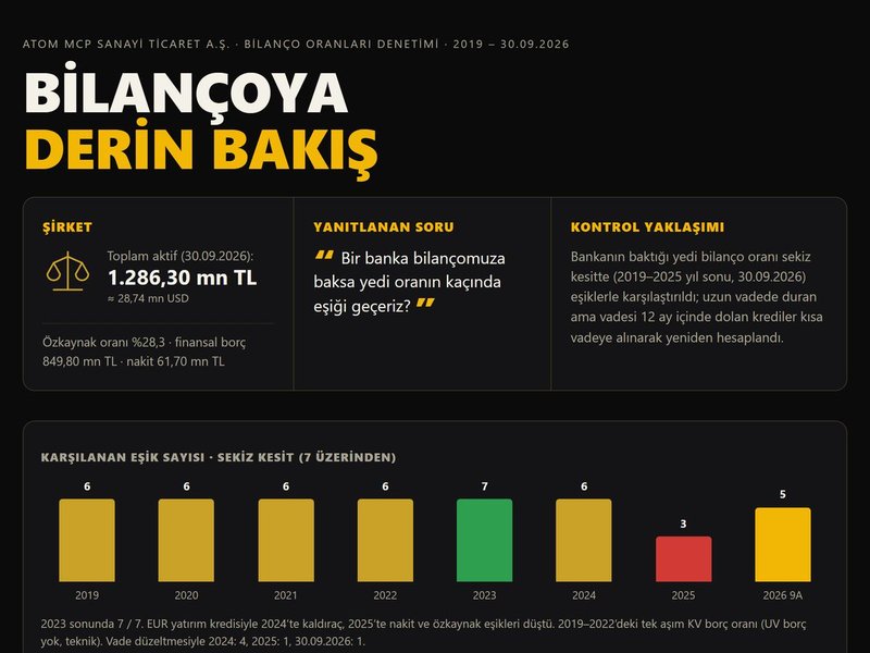 Bilançoya Derin Bakış (demo firma)
